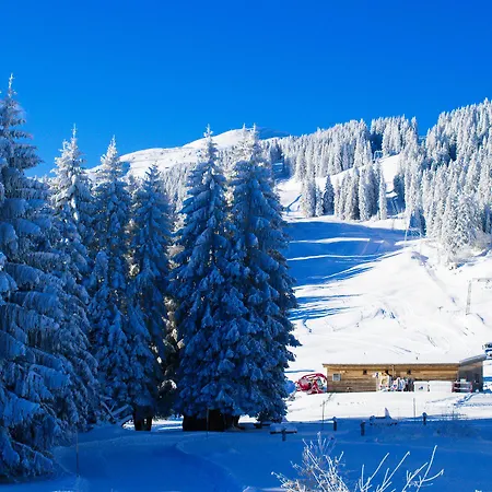 Malixerhof מלון 2*