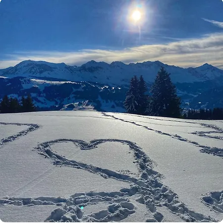 Hotell Malixerhof Malix